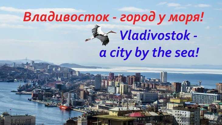 Брянск и Владивосток могут стать городами-побратимами