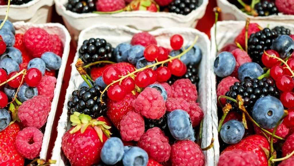 Почему нужно употреблять в пищу фрукты и ягоды