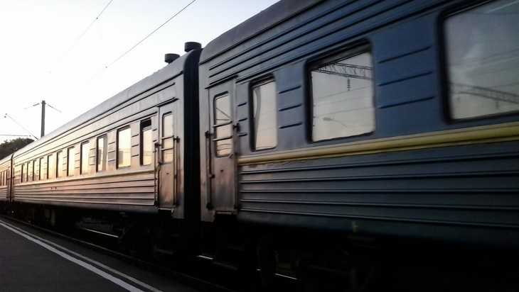 На Новый год и Петербурга в Брянск пустят дополнительные поезда