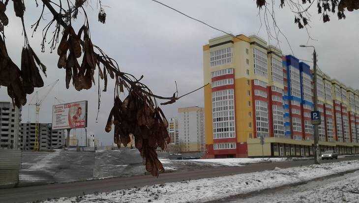 Новую неделю в Брянской области встретят с первым снегом