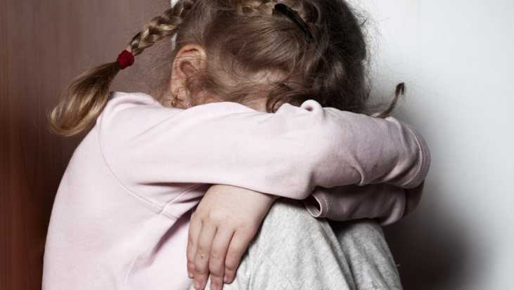 Насильника 9-летней брянской девочки посадили на 12,5 лет