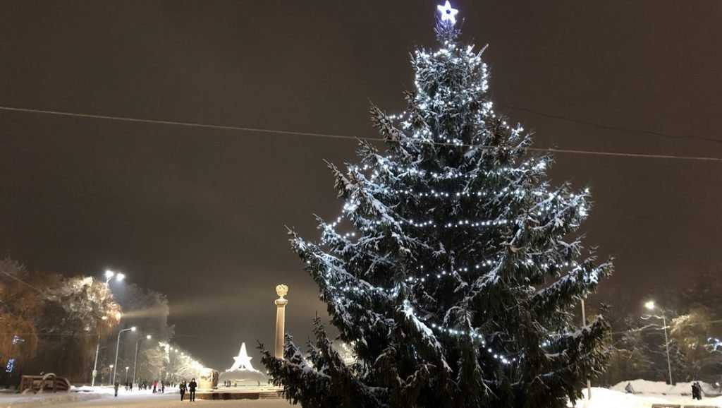 Новогоднюю елку в главном парке Брянска украсили гирляндой и звездой