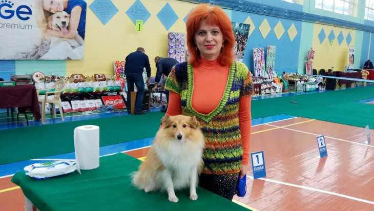 В Брянске прошла всероссийская выставка собак разных пород