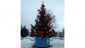 Брянцы раскритиковали «любвеобильную елку» в Фокинском районе