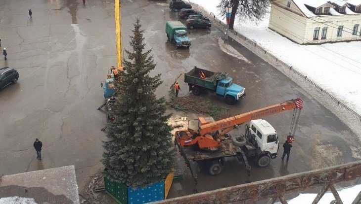 В Брянске возле ДК БМЗ установили новогоднюю ёлку
