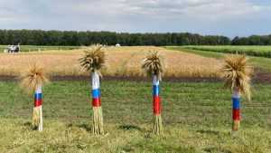 Сельское производство Брянской области вырастет на 17 процентов