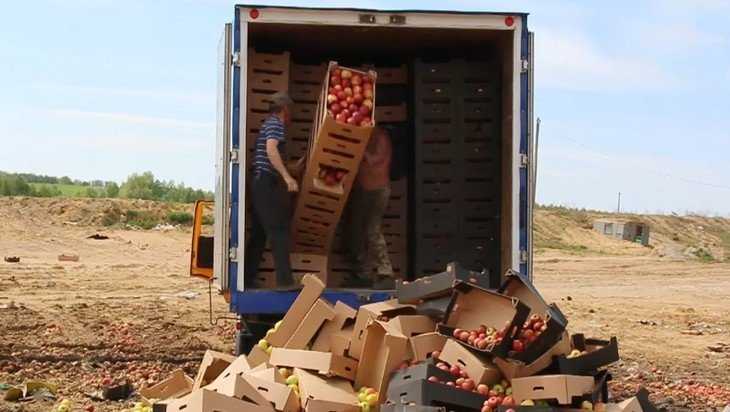 Депутаты Госдумы предложили запретить уничтожать конфискованные продукты