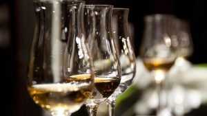 Брянцев предупредили о возможном дефиците импортного алкоголя