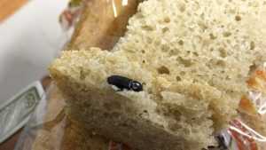 Жителю Брянска удачно продали хлеб с жуком
