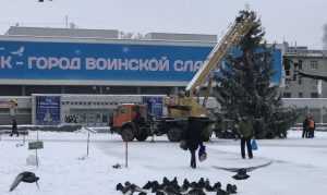 В Брянске начали украшать новогоднюю елку на площади Партизан