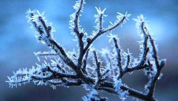 В Брянской области похолодает до 19 градусов мороза