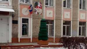 Забавная брянская елка попала во всероссийский рейтинг