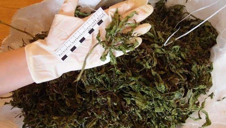 В Выгоничах 26-летний парень получил 2 года колонии за марихуану