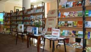 Власти Брянска приобретут для библиотек книги на 5 миллионов рублей