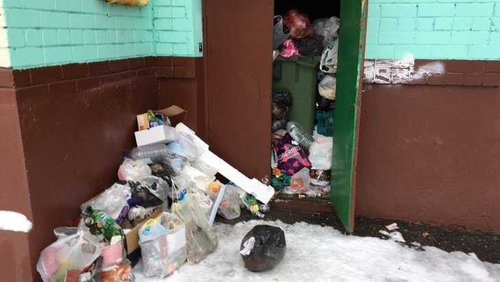 В Брянске жители дома на улице Докучаева утонули в своем мусоре