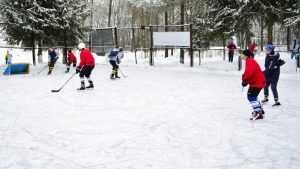 Старт открытого хоккейного турнира в Брянске перенесли на две недели
