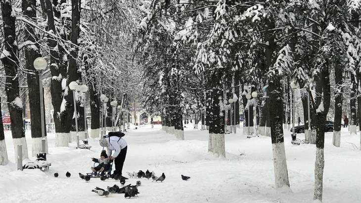 Брянской области 12 января пообещали метель и 16-градусный мороз