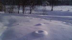 В Брянске сфотографировали забавный снежный бублик