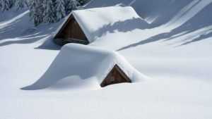 Брянскую область 15 января заметёт снегом