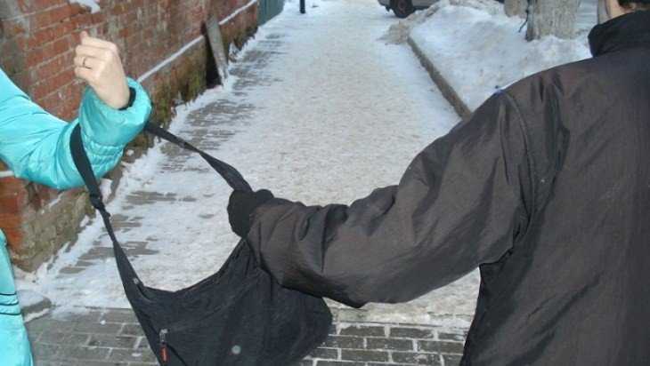 В Брянске полицейские задержали уличного грабителя