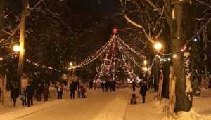 Новогодняя елка в Круглом сквере Брянска собрала 3 тысячи человек