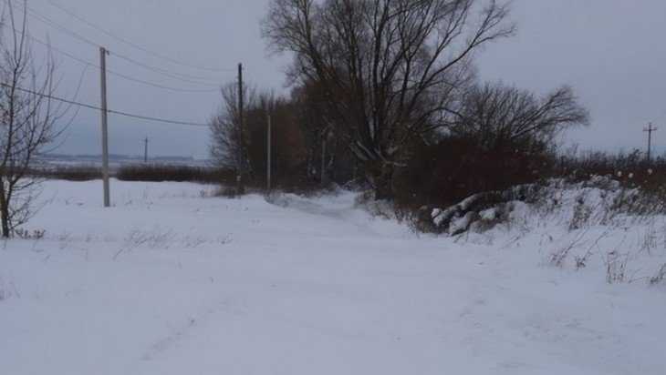 Брянская деревня Красная оказалась отрезанной снегом от цивилизации