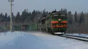 В Брянской области под колесами поезда погиб 46-летний мужчина