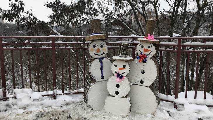 В Брянской области к Рождеству похолодает до 10 – 15 градусов мороза