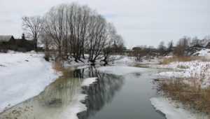 В Брянскую область 17 января вернётся оттепель с мокрым снегом