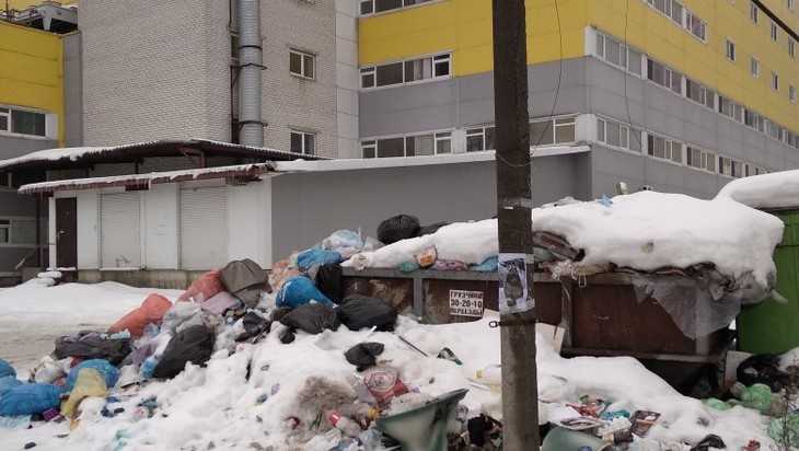 В Брянске закрытый ТРЦ Тимошковых на Красноармейской утонул в мусоре