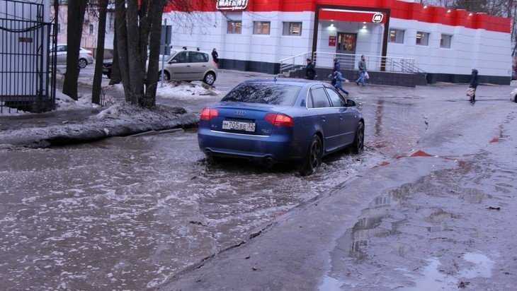 20 метров вброд до цивилизации: умные градостроители утопили Брянск