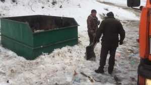 В Брянске Чашин курган очистили от мусора местных нерях
