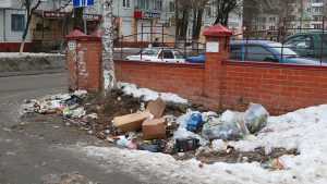 «Даниловский бар» наказали за свалку в Брянске на улице Костычева