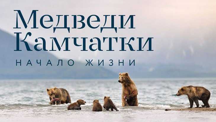 В брянской библиотеке покажут фильм Шпиленка о медведях Камчатки