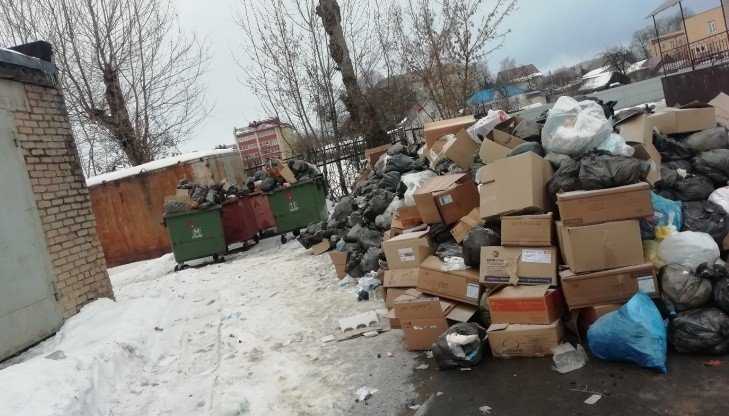 Жителей Клинцов возмутила стихийная свалка возле городской больницы