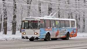 Брянцев на «Лыжню России» довезут дополнительные автобусы и троллейбусы