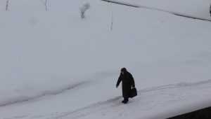 На Брянскую область обрушился снегопад