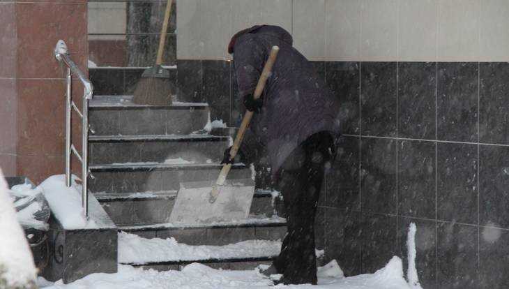 В Брянске объявили предупреждение из-за снегопадов 14 февраля