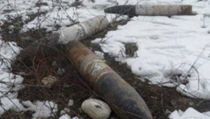В Навлинском лесничестве обнаружили четыре снаряда и гранату