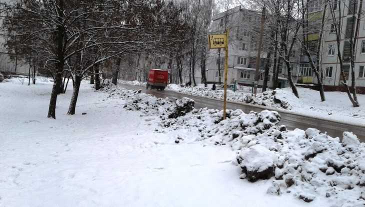 В Брянске дорожники самоотверженно спасли от снега остановку-призрак