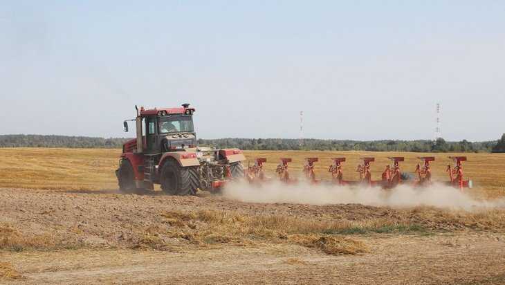 Сельское хозяйство Брянской области получит в 2019 году 11 млрд рублей