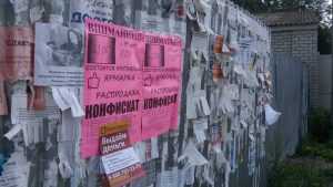 Избитый в Жуковке блогер Чесалин назвал версии нападения на него