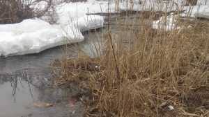 В Клинцах канализацией отравили реку Московку