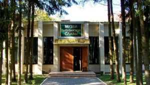 Известный брянский музей «Партизанская поляна» реконструируют