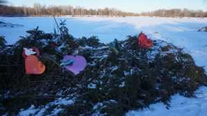 Власти Брянска пообещали убрать новогоднюю елку с берега Мутного озера