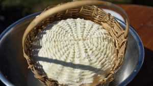 Суд разрешил брянскому производителю выпускать адыгейский сыр