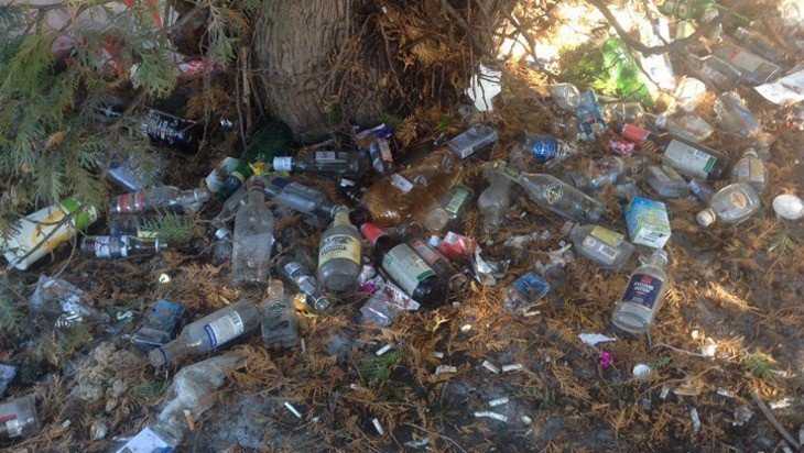 Брянцев возмутила свалка бутылок в сквере 50-летия комсомола