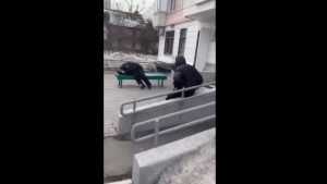 В сети появилось видео с уснувшими на улице пьяными полицейскими