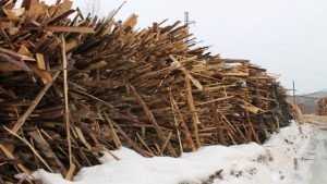 Гигантскую свалку древесных отходов нашли в Брянске
