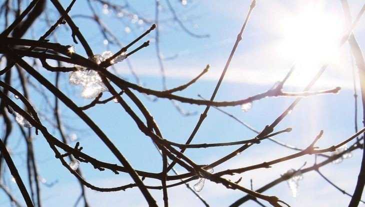 Брянской области 13 марта пообещали снег и 4-градусное тепло